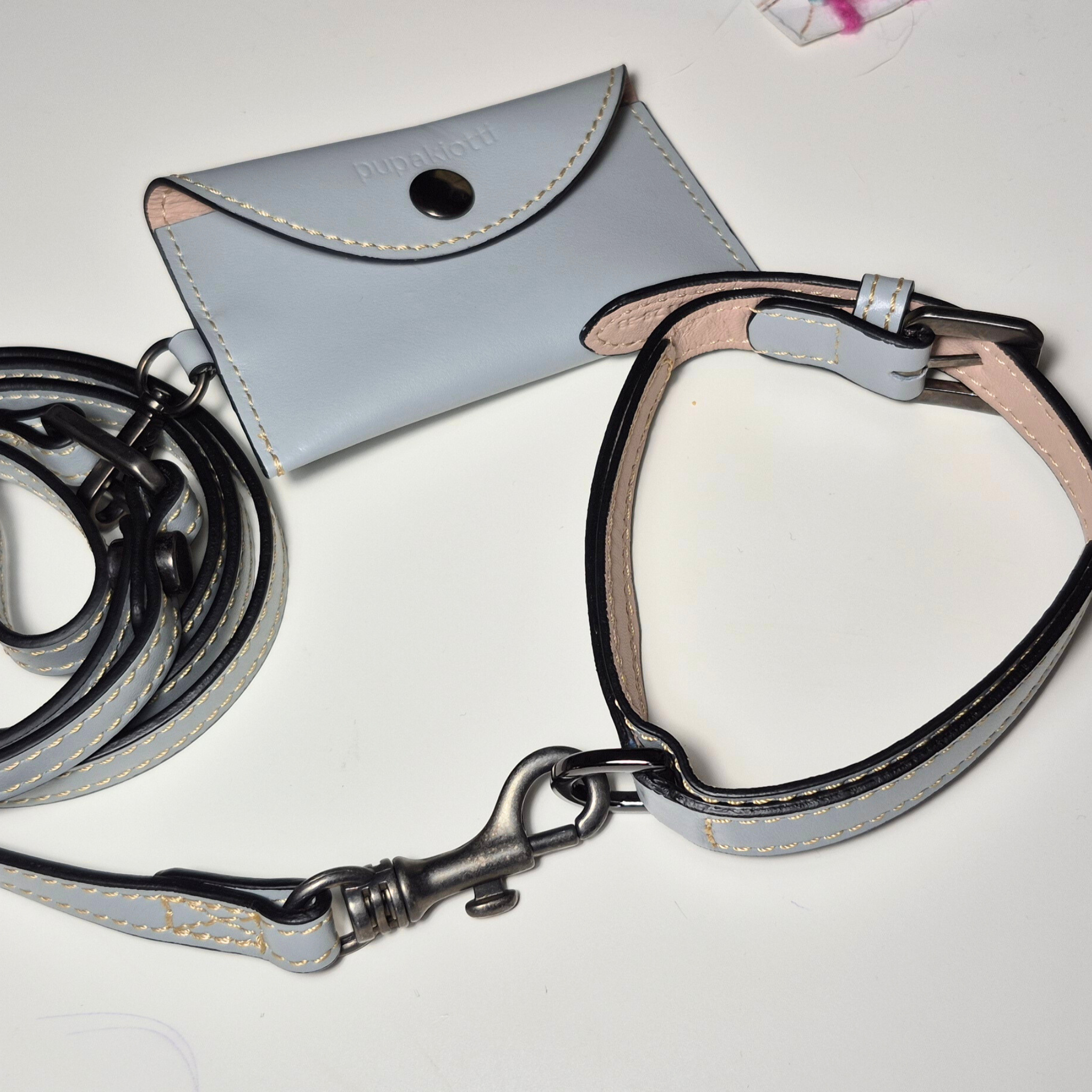 Set Collare e Guinzaglio in Pelle con Porta Sacchetti